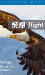 Flight_DVD-box cover