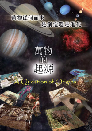 萬物的起源