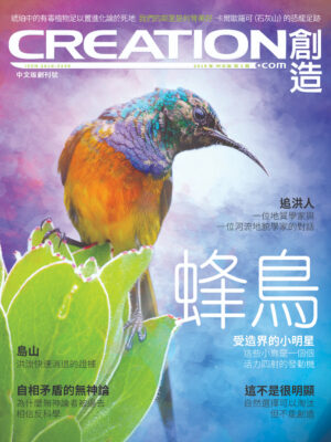 《創造雜誌》中文版