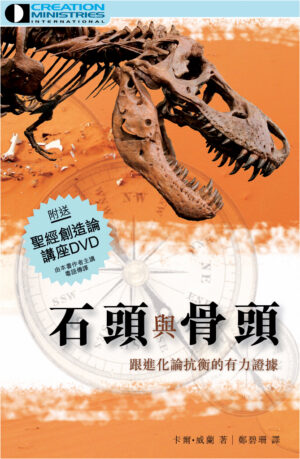 石頭與骨頭
